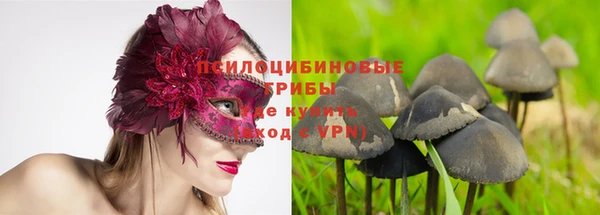 скорость Ельня