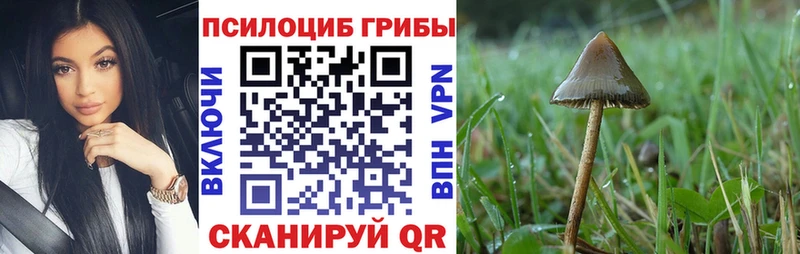 где купить наркоту  Давлеканово  Псилоцибиновые грибы GOLDEN TEACHER 